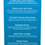 Jemco Cartridge Promise English